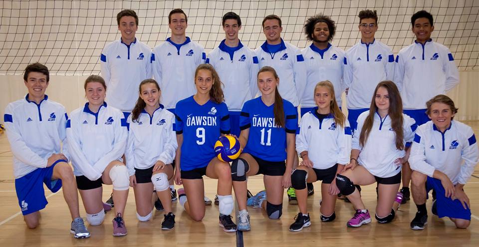 This image is my volleyball team at Dawson